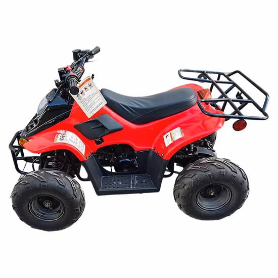 Vendas quentes acionamento por corrente quadriciclo automático 110cc ATV para crianças